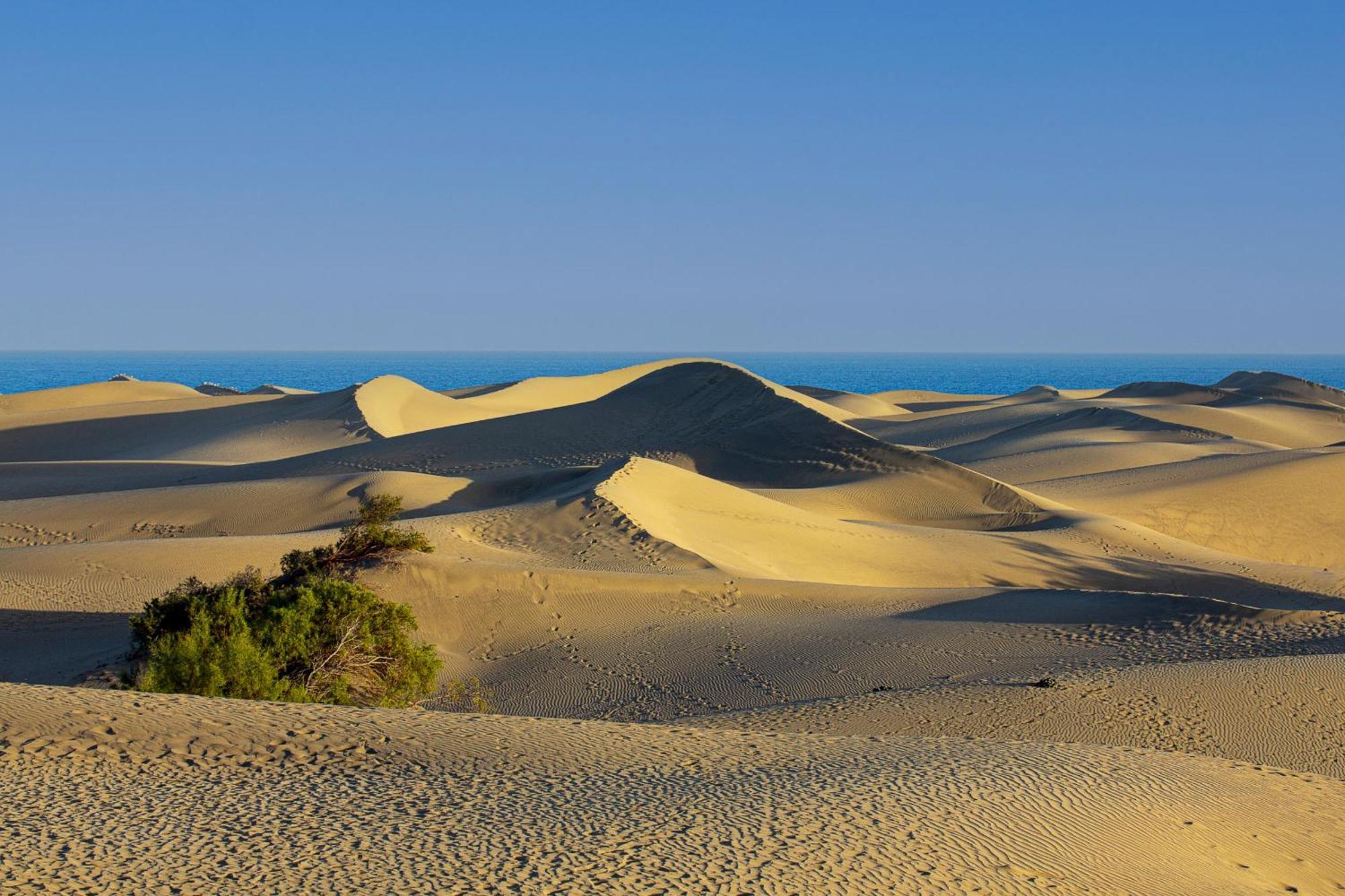 Kasbah 1 Holiday Home By Pride Holiday Rentals マスパロマス エクステリア 写真